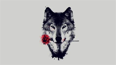 Wolf Art HD Wallpapers on WallpaperDog