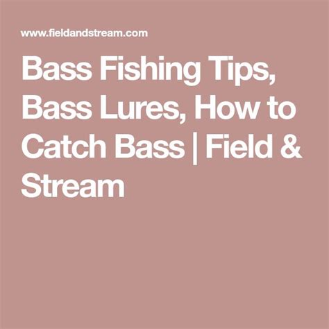 Bass Fishing Tips, Bass Lures, How to Catch Bass | Field & Stream | Bass fishing tips, Bass ...