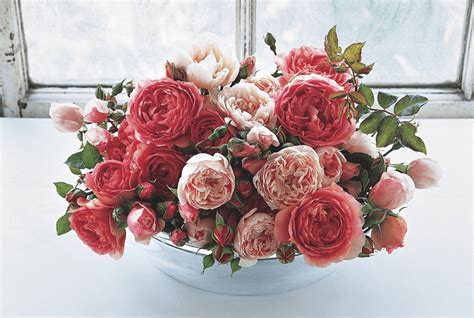 English Roses and Growing English Garden Roses - Flower Magazine