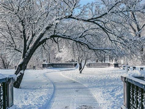 11 Fun Things to Do in Milwaukee in Winter