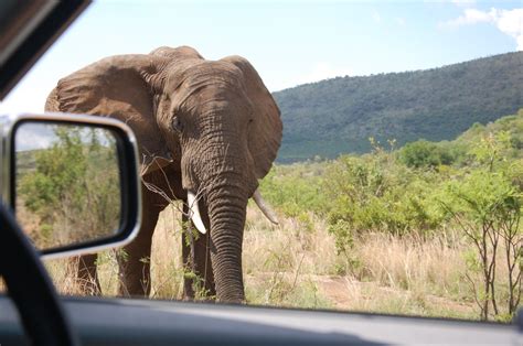 Pilanesberg National Park