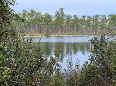 Apalachicola National Forest | IH8MUD Forum