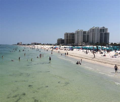 List 100+ Wallpaper Pictures Of Tampa Florida Beach Sharp