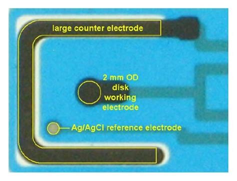 The electrochemical sensor and fabrication. (a) Real image of the... | Download Scientific Diagram