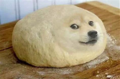 fat doge Blank Template - Imgflip