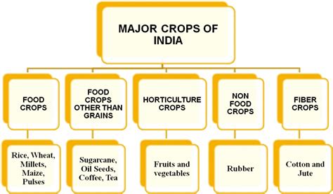 AGRICULTURE CLASS X