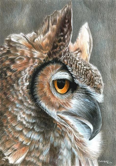 Pencil Drawing Color | Pencil drawings of animals, Owl art print, Owls drawing