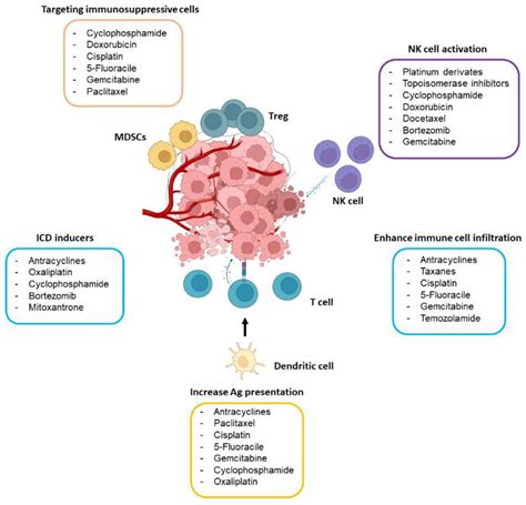 Chemo-Immunotherapy: A New Trend in Cancer Treatment