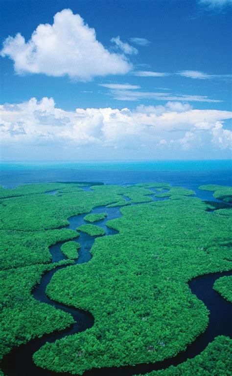 √ Everglades National Park Tourism