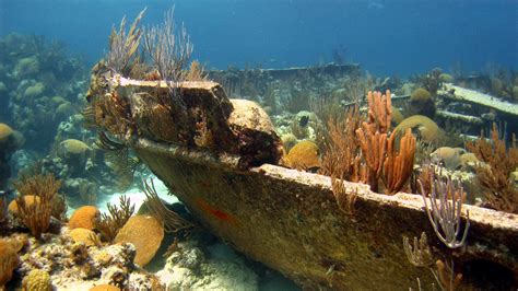 Bermuda Triangle Shipwreck Snorkeling | Disney Cruise Line