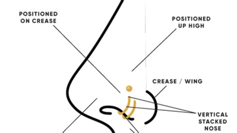 Types Of Nose Piercings Chart