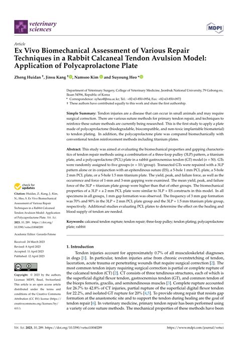 (PDF) Ex Vivo Biomechanical Assessment of Various Repair Techniques in a Rabbit Calcaneal Tendon ...