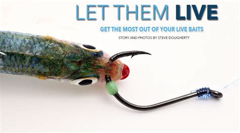 How to give live baits maximum mobility and longevity.