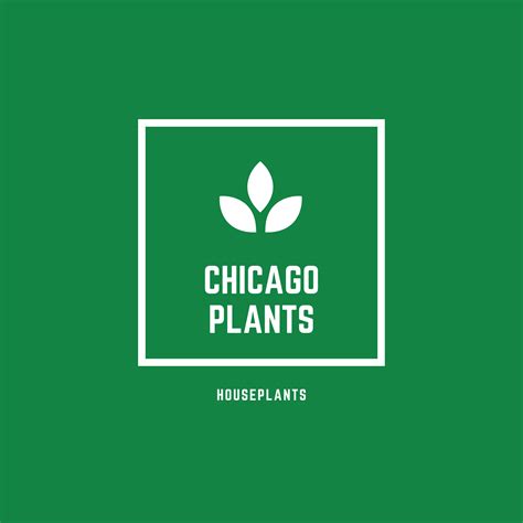 Chicago Plants | popshop - unleash your vision