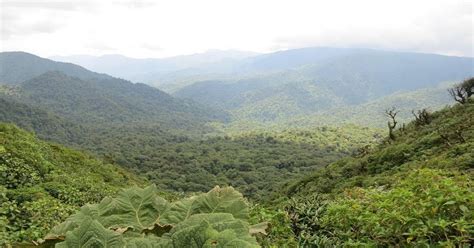 13 Family-Friendly Things to Do in Monteverde, Costa Rica • Wanderlust with Kids