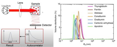 DYNAMIC LIGHT SCATTERING — MIT BIF