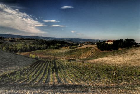 7 Great Wine Tours To Fully Enjoy Florence And Tuscany! | Trip101