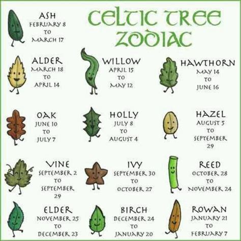 Celtic Tree Zodiac | Spiritual; Astrology | Pinterest | Births, Patterns and The moon