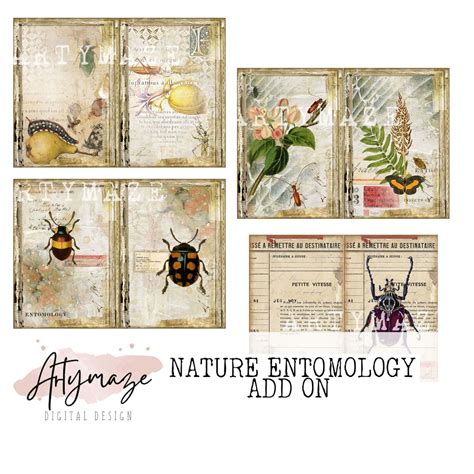 NATURE & ENTOMOLOGY Add on Journal Kit - Etsy