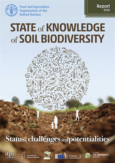 The State of Knowledge of Soil Biodiversity