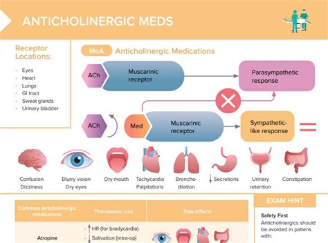 Anticholinergic Drugs [+ Free Cheat Sheet] | Lecturio