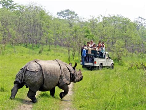 Chitwan National Park records 1st rhino poaching in 3 years - The Himalayan Times - Nepal's No.1 ...