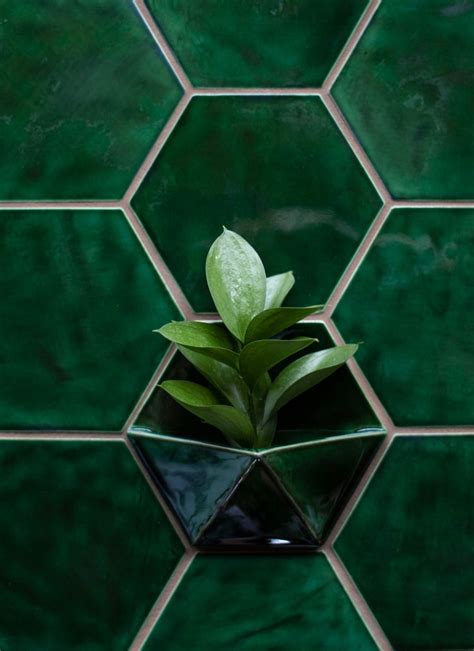 a green plant in a black vase on a green tile wall with hexagonal tiles