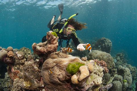 Hitting The Water Scuba Diving On The Great Barrier Reef, Cairns ...