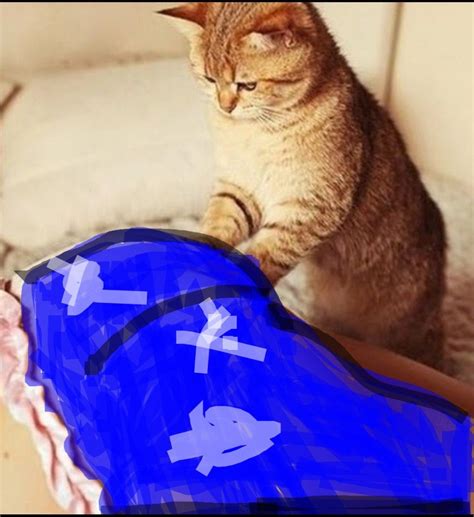 Create meme "cats, cat, cat" - Pictures - Meme-arsenal.com