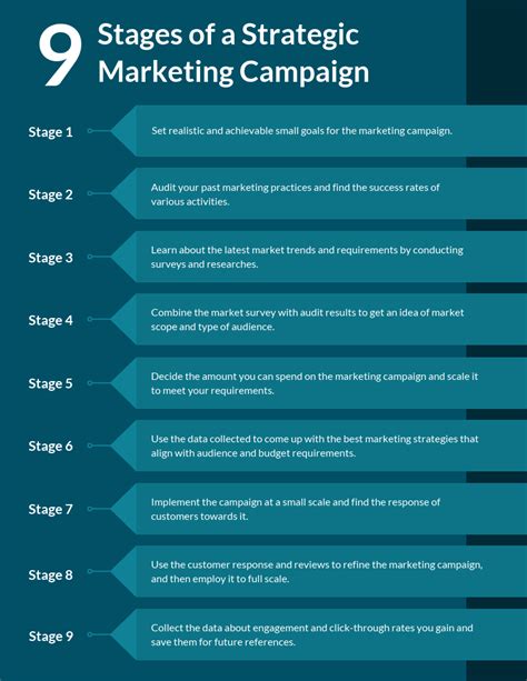 Infografica sul processo della campagna di marketing blu - Venngage