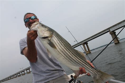 Jigging the Chesapeake Bay Bridge Pilings | FishTalk Magazine