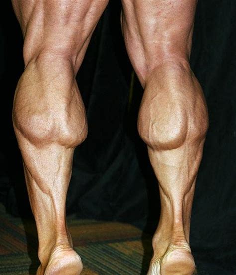 How to Train Calves - by Lloyd Sparks