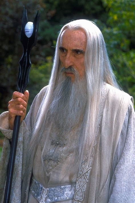 Saruman | The Lord of the Rings: The Fellowship of the Ring | Lord of ...