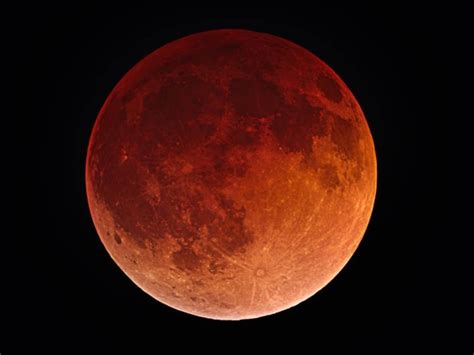 Super Blood Wolf Moon Eclipse: When, How to See It on Long Island ...