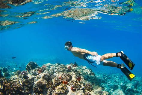 8 Spots to Find the Best Snorkeling in Hawaii (2024)