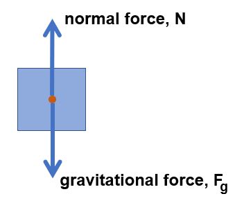 Static Equilibrium Overview & Examples | What is Static Equilibrium? | Study.com