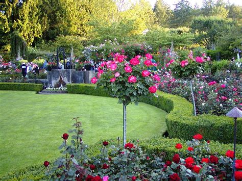 On The High Road: Victoria ~ Butchart Gardens | Butchart gardens, Rose garden, Beautiful roses