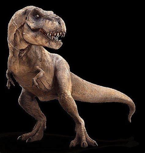 Tyrannosaurus Rex: Quick Facts | Dinosaur pictures, Dinosaur images ...