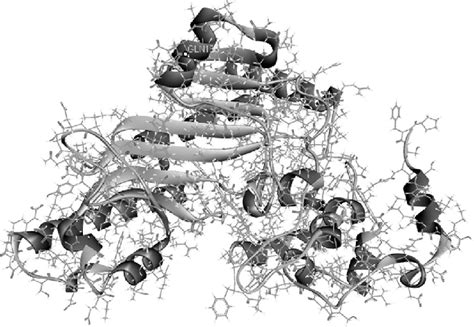 1: Structure of Brain-type Creatine Kinase Protein [PDB ID: 1QH4]... | Download Scientific Diagram