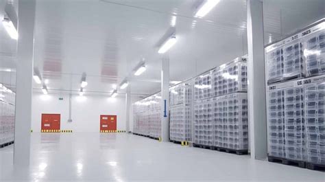 What is a Cold Storage Warehouse? Key Features and Importance