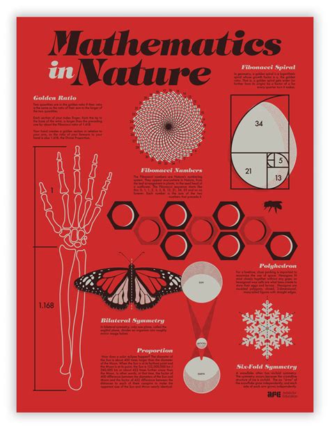 The natural world is full of mathematics if you just know where to look ...