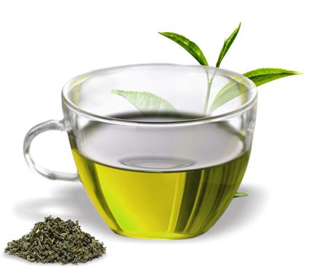 Green Tea PNG Clipart Background | PNG Play