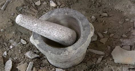 Best Mortar and Pestle Review and Buying Guide - Survive Nature