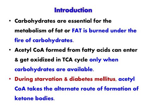 KETONE BODIES METABOLISM