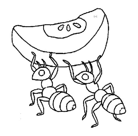 ants colouring - Clip Art Library