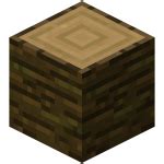 Jungle Wood | Minecraft Bedrock Wiki | FANDOM powered by Wikia