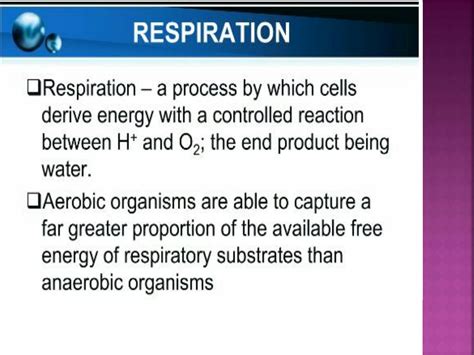 SOLUTION: Full lecture oxidative phosphorylation mitochondria and electron transport chain ...