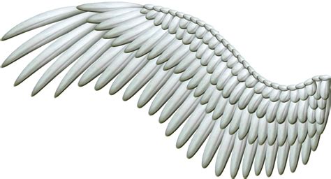 Download White Wings PNG Image for Free