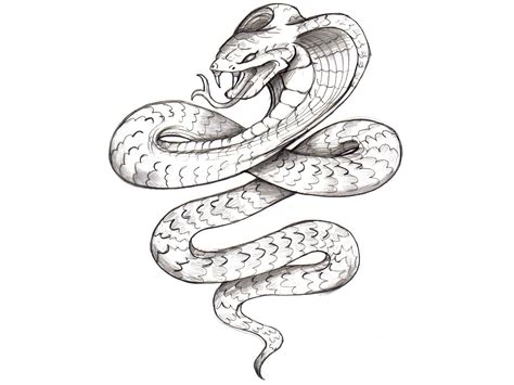 Evil Snake Drawing at GetDrawings | Free download