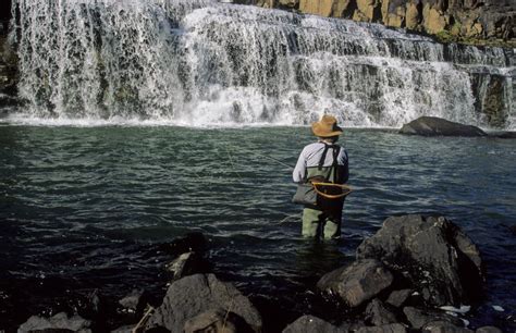 Things to Do in Mooi River - KwaZulu Natal, South Africa